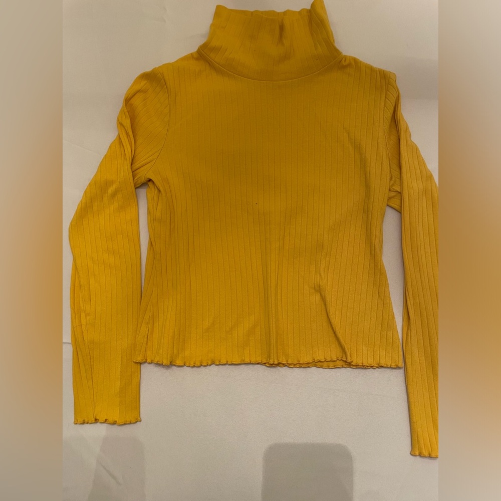 Long Sleeve Turtleneck